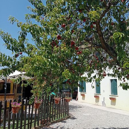 Appartamento Malcontenta Mira Zewnętrze zdjęcie